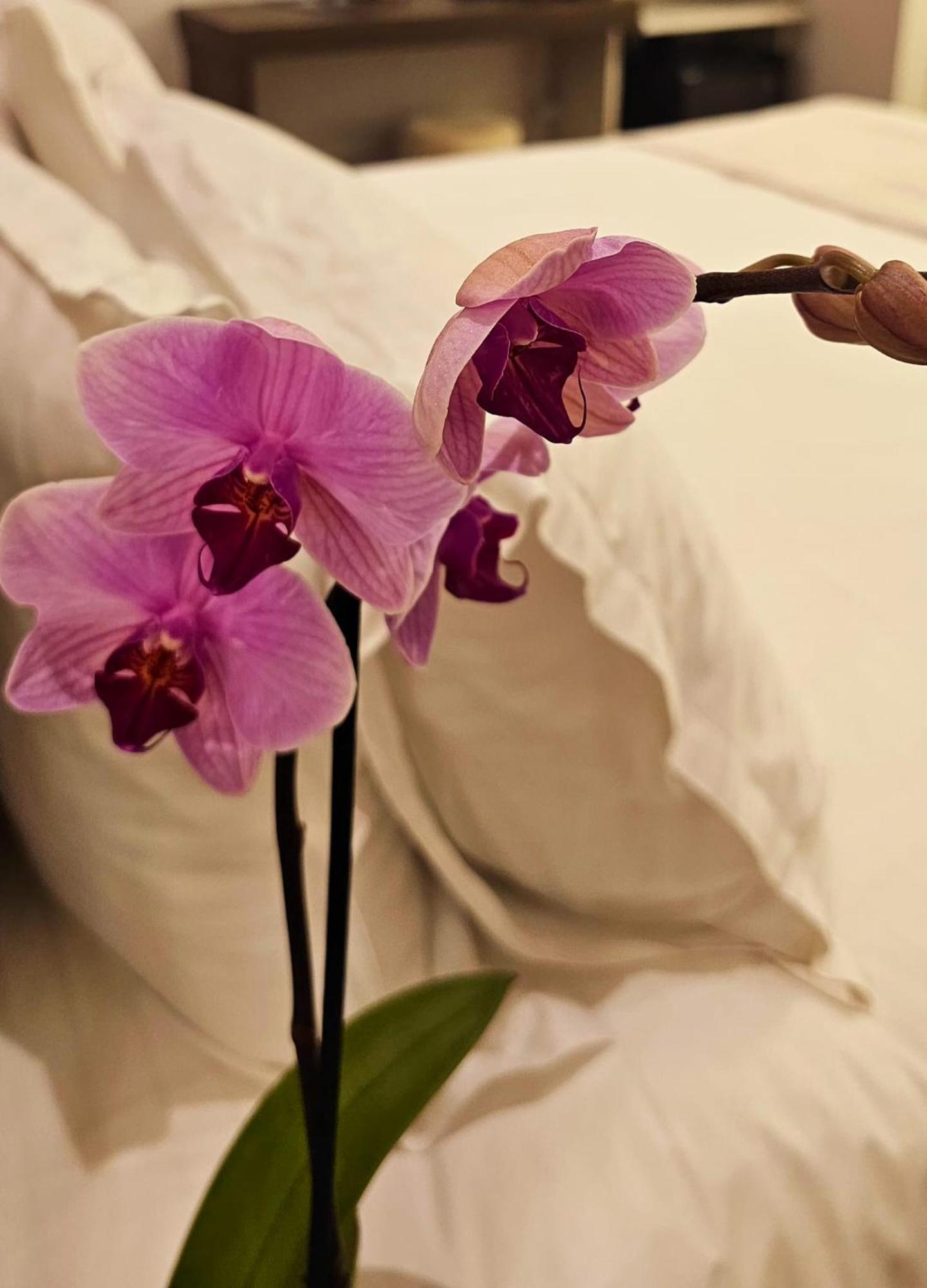 Stoa Rome Boutique Suites エクステリア 写真